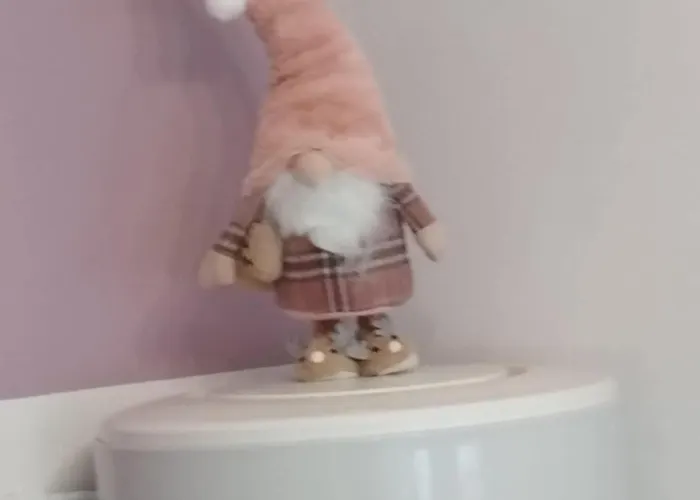 Le Petit Minion Bayeux