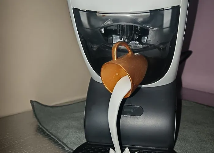 Le Petit Minion Bayeux